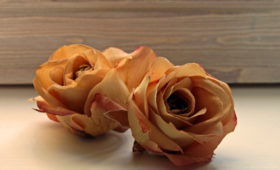 Tag rätt på rosen – torka blommor med sand